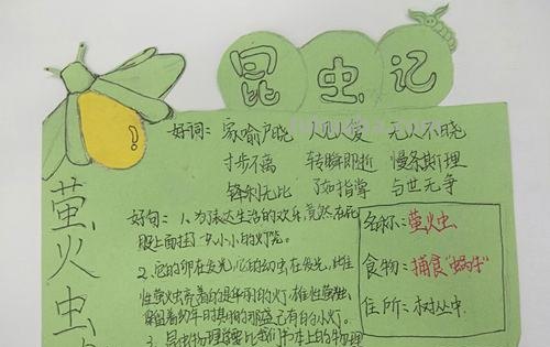 小学昆虫记读书卡怎么画 读书卡怎么做简单才可爱?