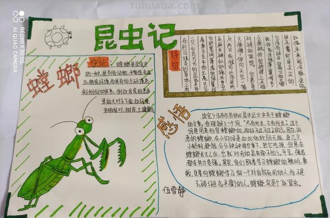 小学昆虫记读书卡怎么画 读书卡怎么做简单才可爱?