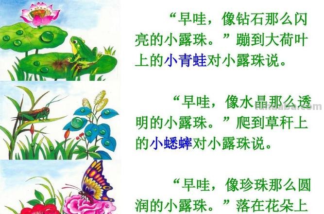 蝴蝶说 蝴蝶说荷叶是我的什么补充句子
