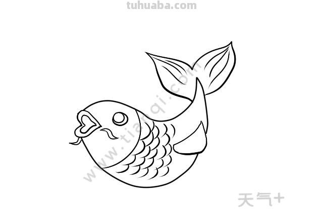 鲤鱼怎么画儿童简笔画 鱼的简笔画怎么画?