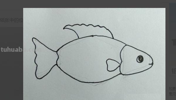 鲤鱼怎么画儿童简笔画 鱼的简笔画怎么画？