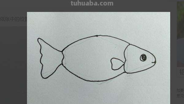 鲤鱼怎么画儿童简笔画 鱼的简笔画怎么画？