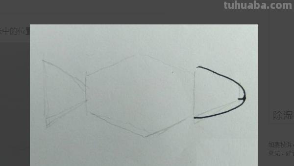 鲤鱼怎么画儿童简笔画 鱼的简笔画怎么画？