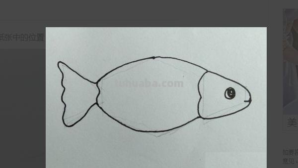 鲤鱼怎么画儿童简笔画 鱼的简笔画怎么画？