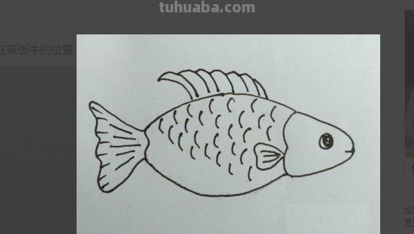 鲤鱼怎么画儿童简笔画 鱼的简笔画怎么画？