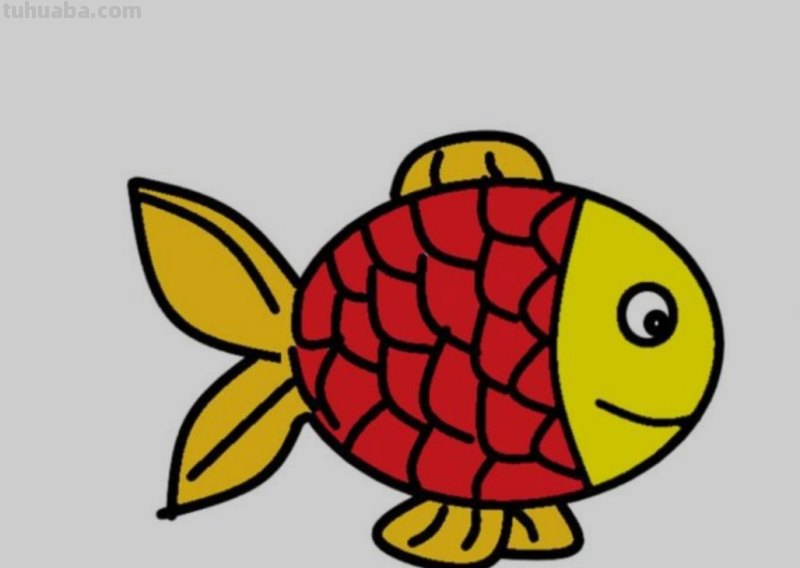 鲤鱼怎么画儿童简笔画 鱼的简笔画怎么画？