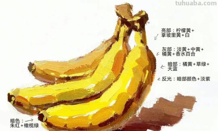用色彩静物香蕉展现绘画魅力