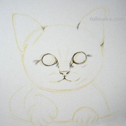 用彩铅画小猫怎么画的 动物铅笔画教程？