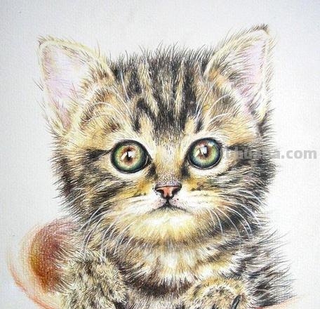 用彩铅画小猫怎么画的 动物铅笔画教程？