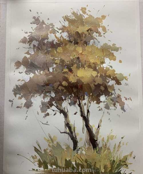 大树色彩画及大树色彩画临摹 