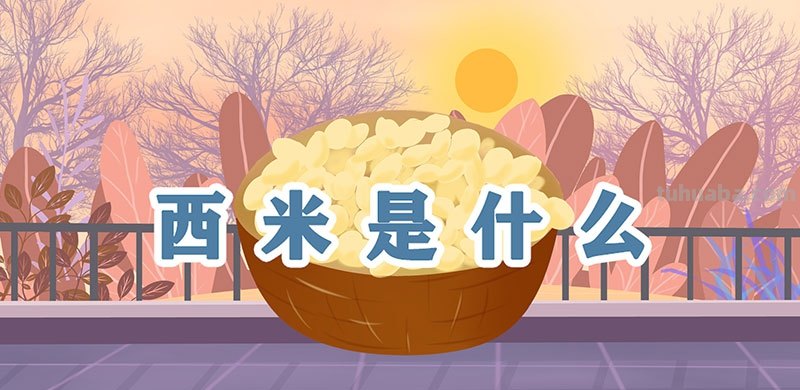西米是什么