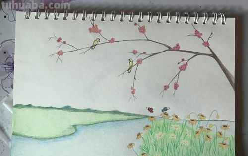 用彩铅画春天景色怎么画 怎么用彩铅画出四季花园?
