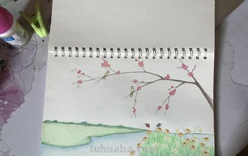 用彩铅画春天景色怎么画 怎么用彩铅画出四季花园?