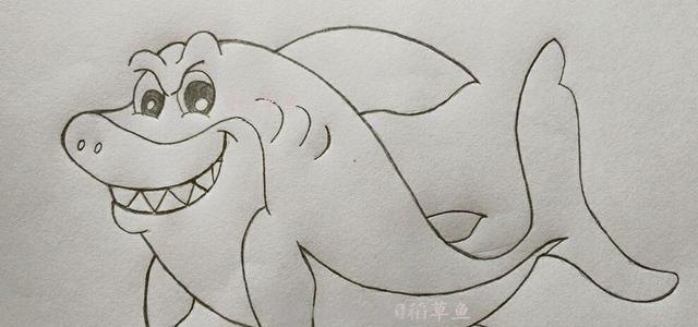 鲨鱼的简笔画怎么画 鲨鱼的画?
