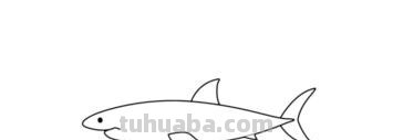 鲨鱼的简笔画怎么画 鲨鱼的画？