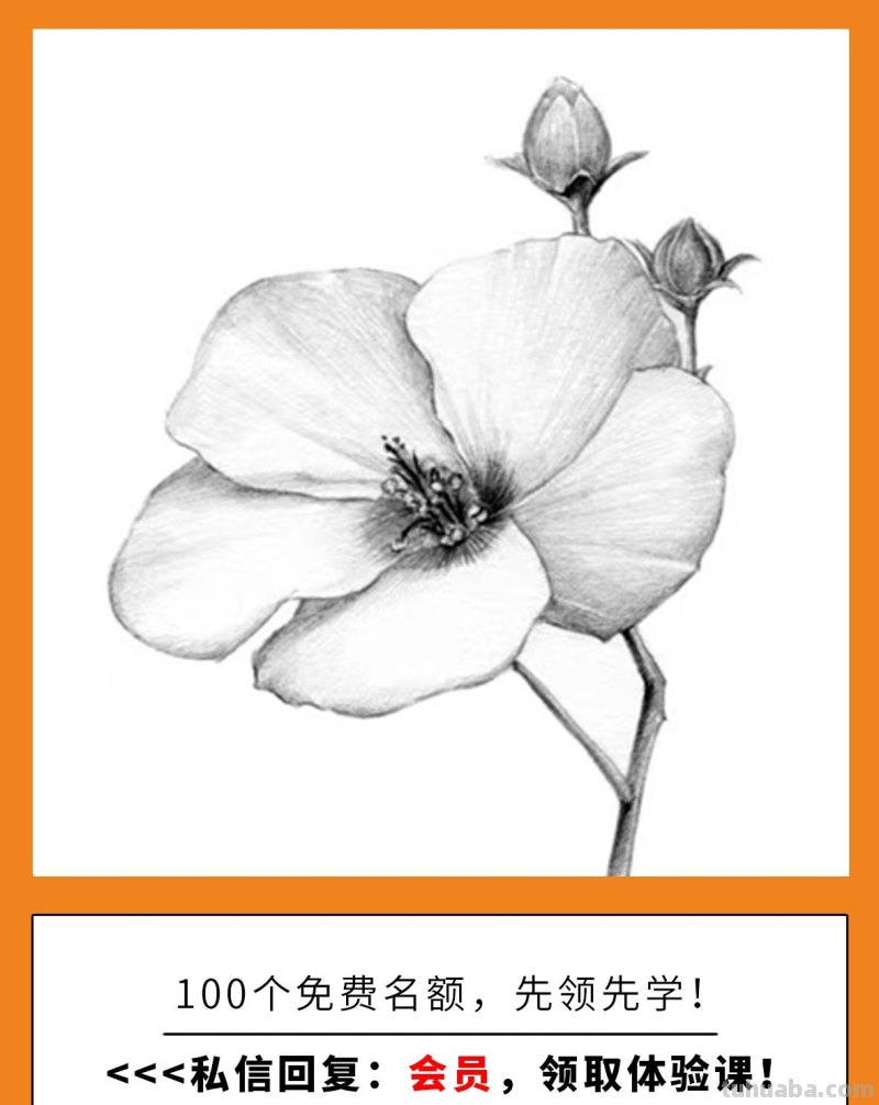 有这种好事儿？零基础小白画画课程！0元免费体验！
