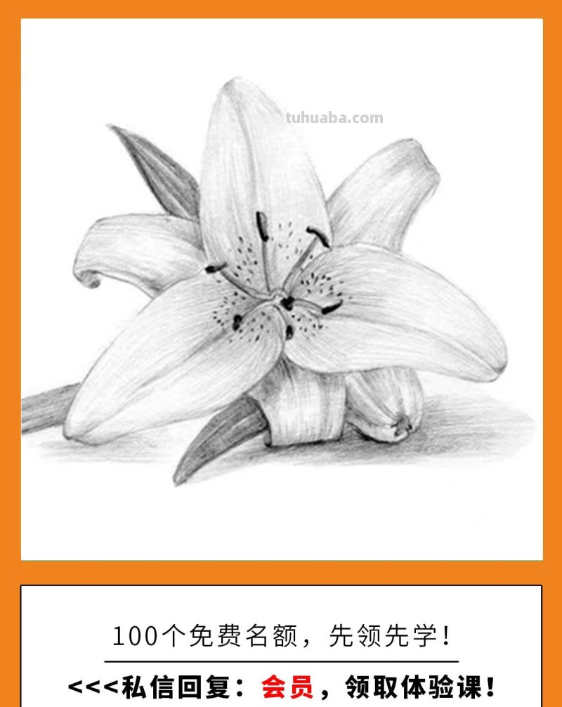 有这种好事儿？零基础小白画画课程！0元免费体验！