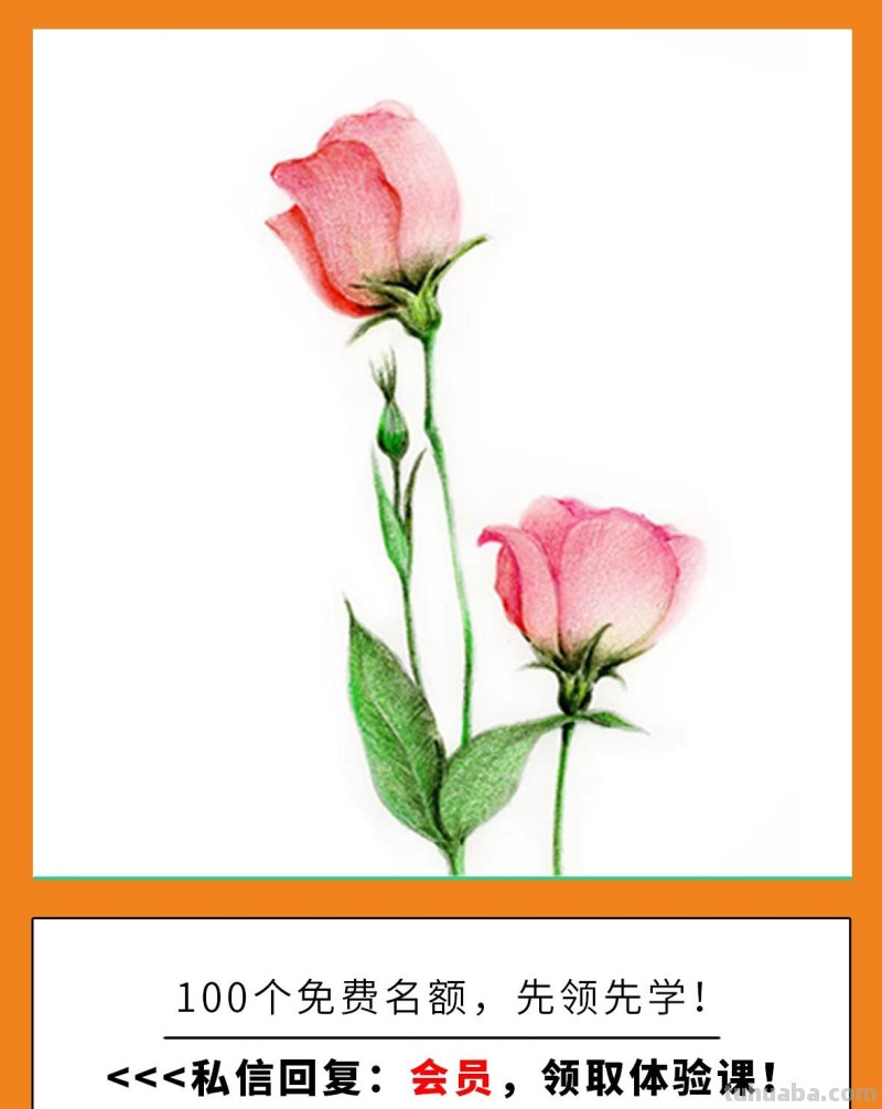 有这种好事儿？零基础小白画画课程！0元免费体验！