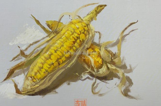 用色彩静物玉米怎么画?色彩静物玉米的绘画技巧分享