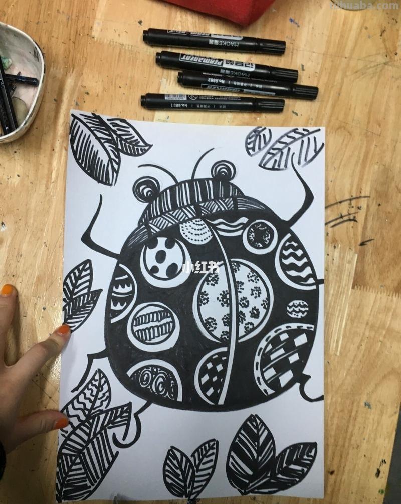 儿童黑白线描画《七星瓢虫》基础线条简笔画，少儿美术范画
