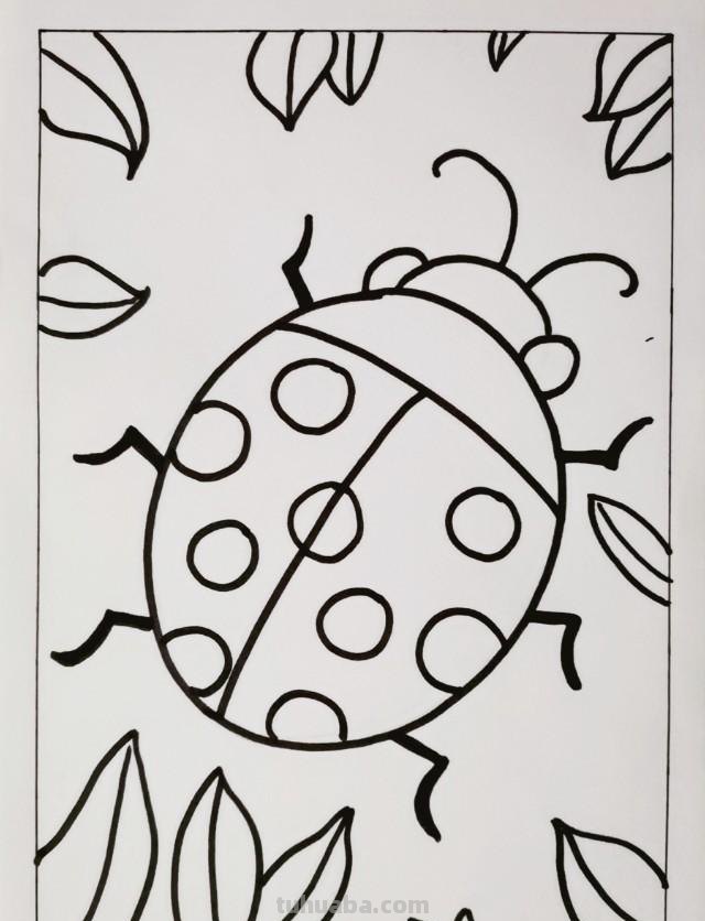 儿童黑白线描画《七星瓢虫》基础线条简笔画，少儿美术范画