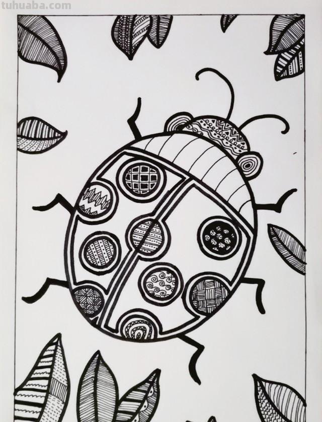 儿童黑白线描画《七星瓢虫》基础线条简笔画，少儿美术范画