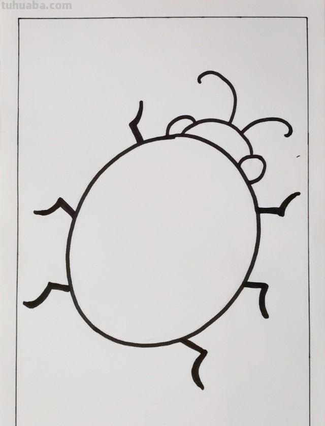 儿童黑白线描画《七星瓢虫》基础线条简笔画，少儿美术范画