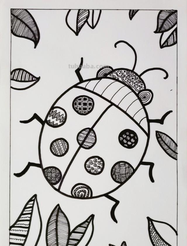 儿童黑白线描画《七星瓢虫》基础线条简笔画，少儿美术范画
