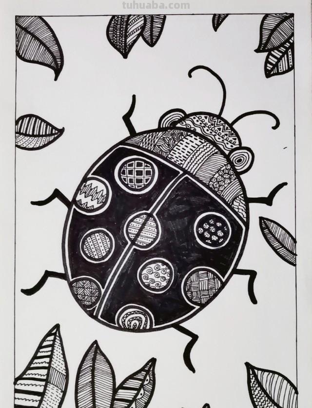 儿童黑白线描画《七星瓢虫》基础线条简笔画，少儿美术范画