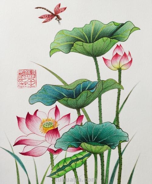 用彩铅怎么画美丽的画 怎么用彩铅画画?