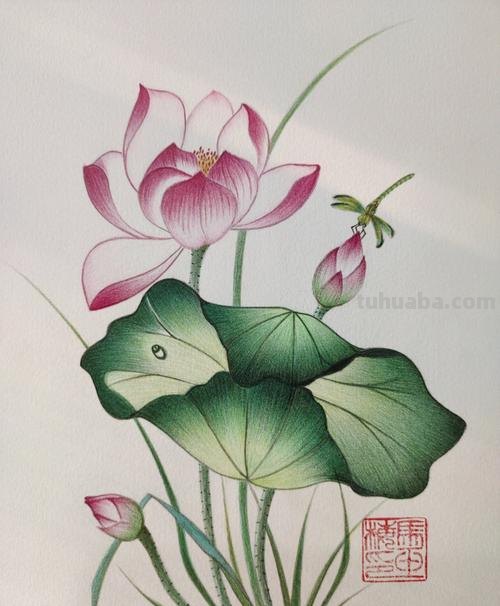 用彩铅怎么画美丽的画 怎么用彩铅画画?