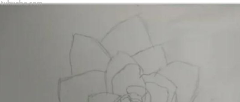 用彩铅怎么画美丽的画 怎么用彩铅画画？