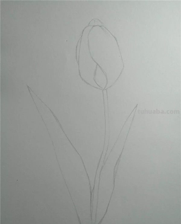 用彩铅怎么画美丽的画 怎么用彩铅画画？