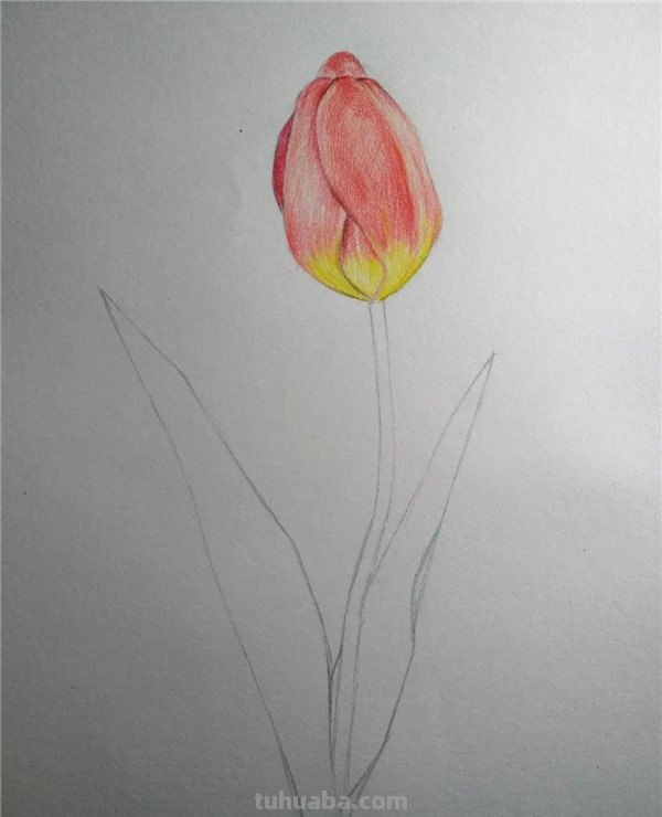 用彩铅怎么画美丽的画 怎么用彩铅画画？