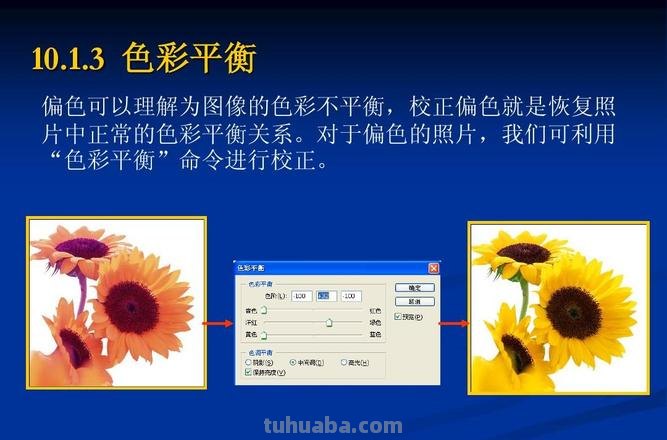 【绘画教程】PS局部色彩及局部色彩平衡技巧，让你的作品更加生动立体！ 