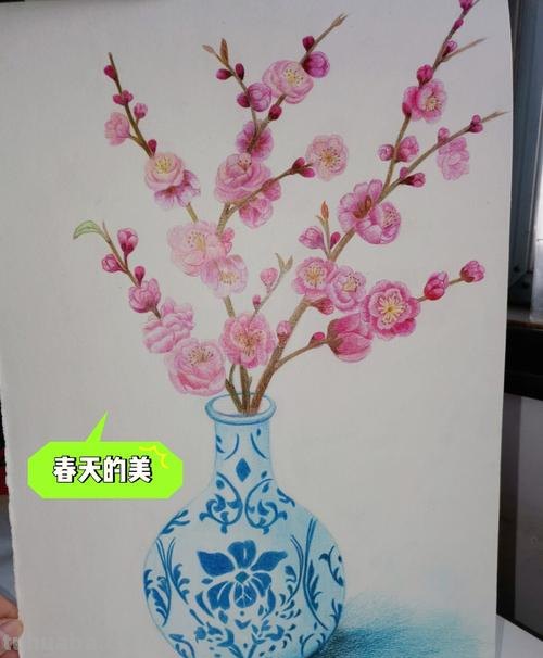 怎么用彩铅画梅花拟人画 如何画梅花,这是美术作业,铅笔和水彩笔都行?