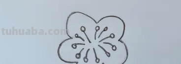 怎么用彩铅画梅花拟人画 如何画梅花，这是美术作业，铅笔和水彩笔都行？