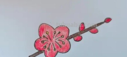 怎么用彩铅画梅花拟人画 如何画梅花，这是美术作业，铅笔和水彩笔都行？