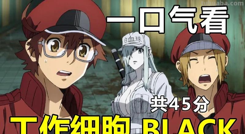 工作细胞BLACK 工作细胞black免费观看完整版