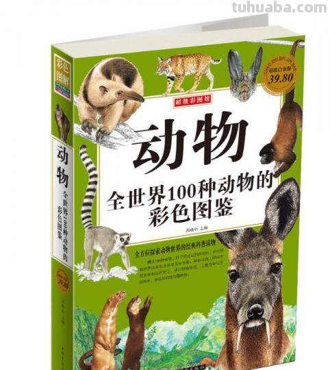 动物色彩图：探索动物世界的绚丽色彩 