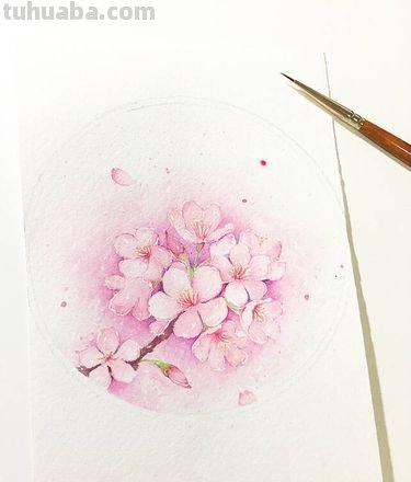 【教你画色彩花!】彩绘世界,绽放色彩的花朵如何绘制?涂画吧小编带你一起揭秘!🌸
