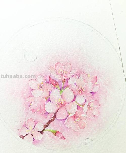 【教你画色彩花!】彩绘世界,绽放色彩的花朵如何绘制?涂画吧小编带你一起揭秘!🌸