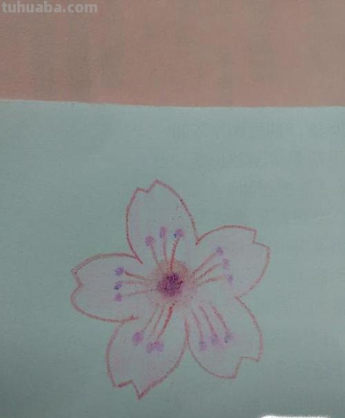 【教你画色彩花!】彩绘世界,绽放色彩的花朵如何绘制?涂画吧小编带你一起揭秘!🌸
