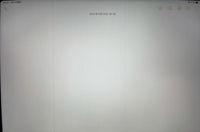 iPad屏幕色彩异常及曝光过度问题解析