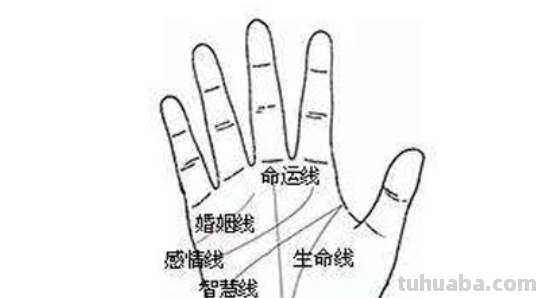 fate的意思