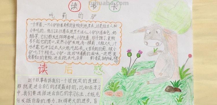 动物寓言故事读书卡怎么画 寓言卡怎么做?