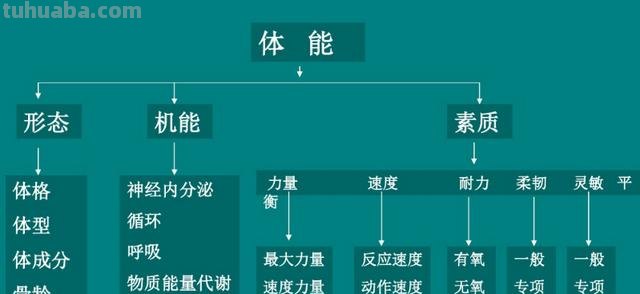 体育武术思维导图怎么画 思维导图在体育教学中有哪些方面的应用？