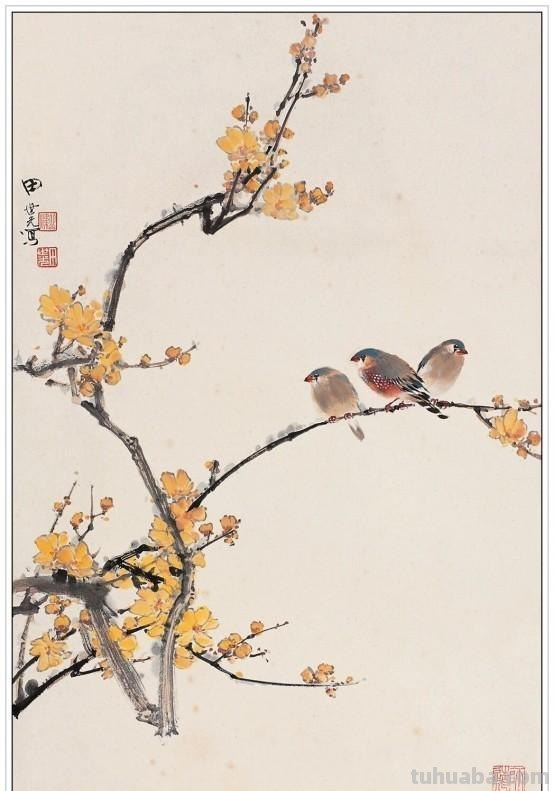 近现代著名画家田世光五十五幅经典绘画作品赏析
