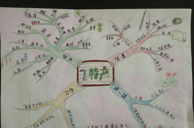 青海特产思维导图怎么画 青海有哪些特产？