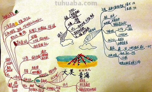 青海特产思维导图怎么画 青海有哪些特产？